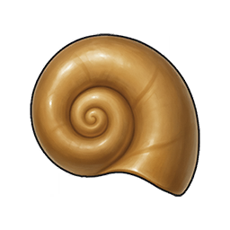 Hard Shell