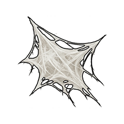 Frayed Spider Web