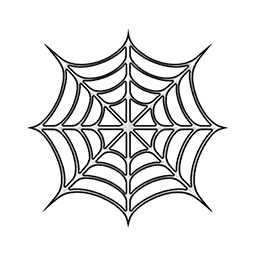 Robust Spider Web