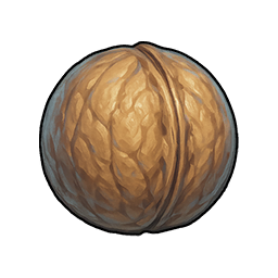 Rock Walnut