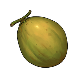 Palm Fruit