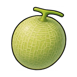 Melon
