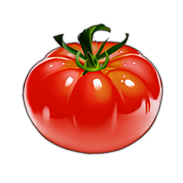 Tomato
