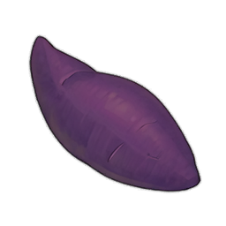 Sweet Potato