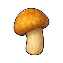 Pine Mushroom