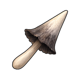 Item Material Name 102030406
