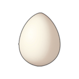 Egg