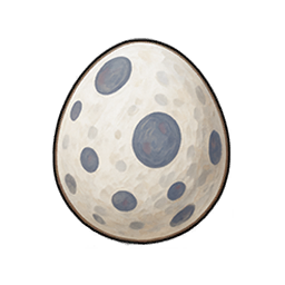 Seagull Egg
