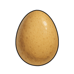 Pigeon Egg
