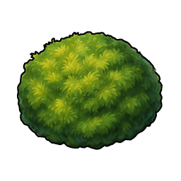Edible Moss