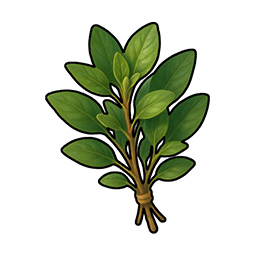 Herbs