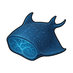 Manta Meat